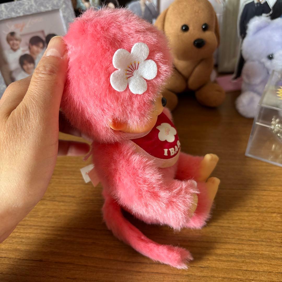 ご当地 茨城 限定 モンチッチ （梅モンチッチ） - メルカリ