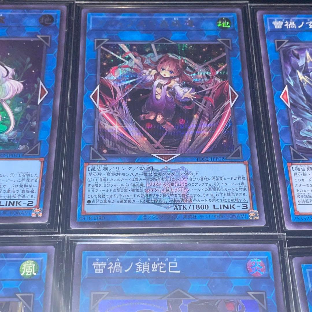 蕾禍蟲惑魔本格構築デッキ売り⭐︎決闘者伝説版⭐︎オマケ有 - メルカリ