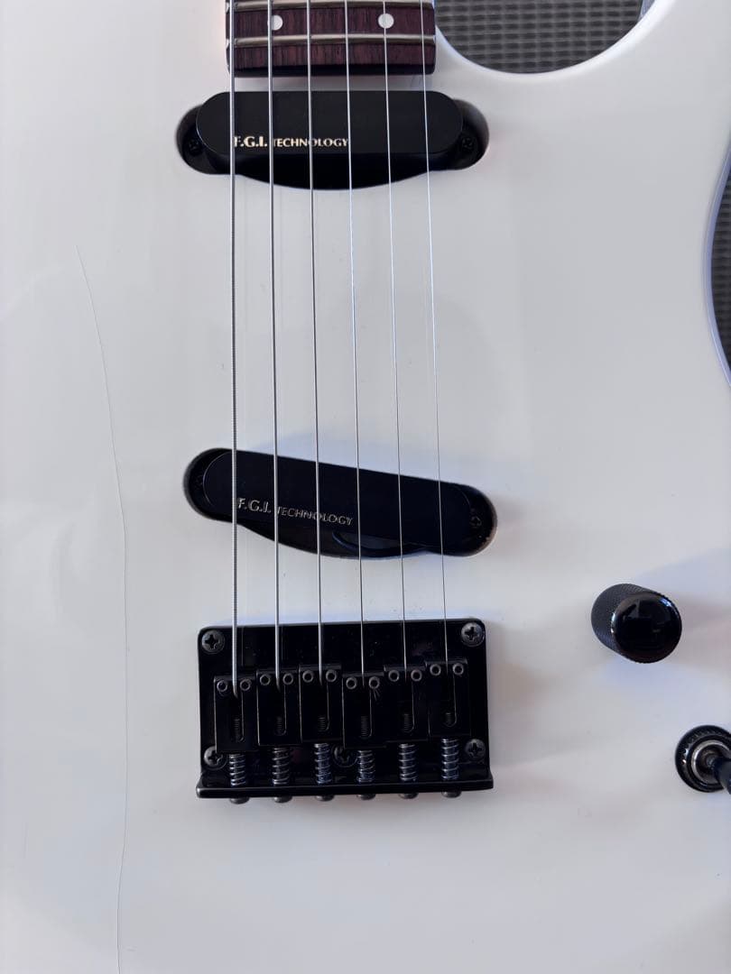 FERNANDES BUCK-TICK IMAIモデル　STJ-80BT