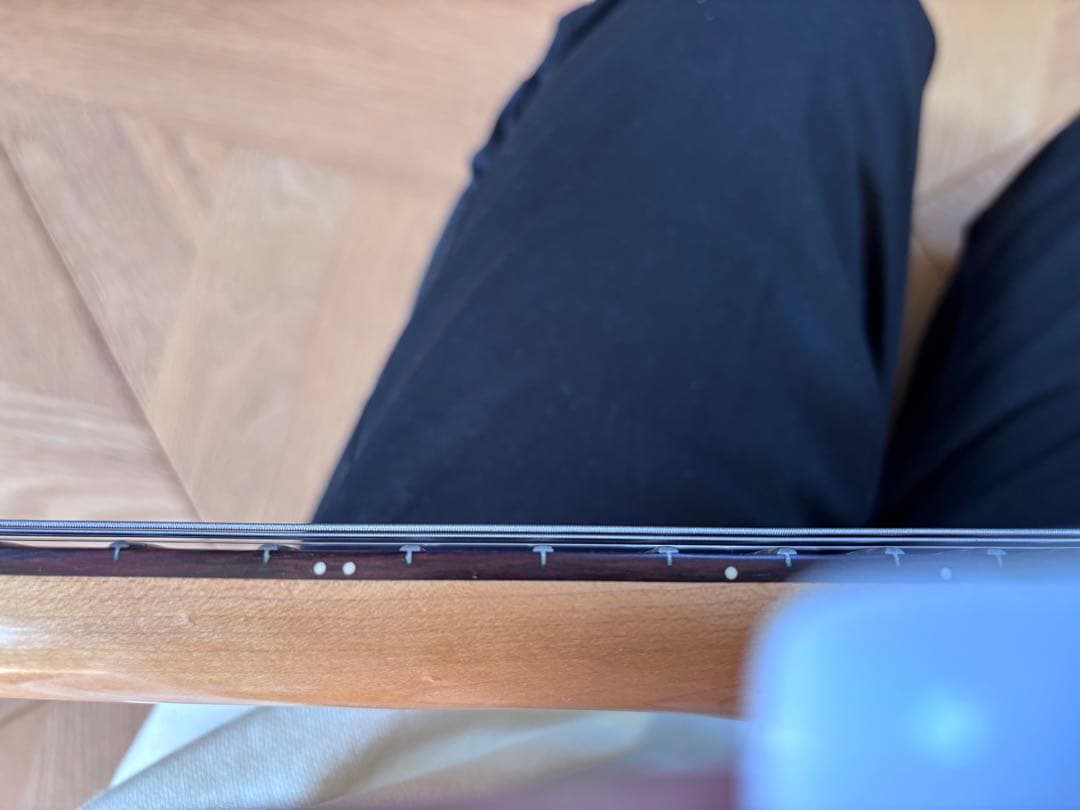 FERNANDES BUCK-TICK IMAIモデル　STJ-80BT