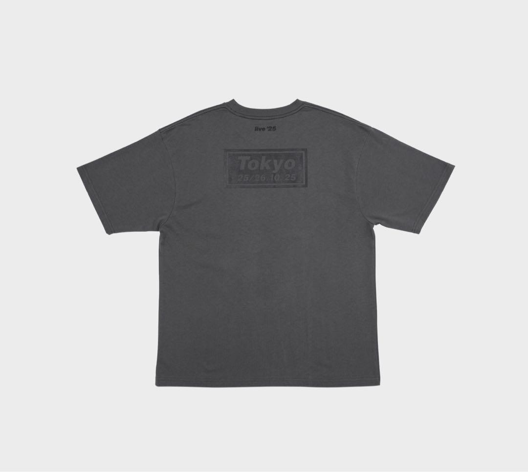 Oasis Tシャツ 富士【日本限定】 Mサイズ グレー