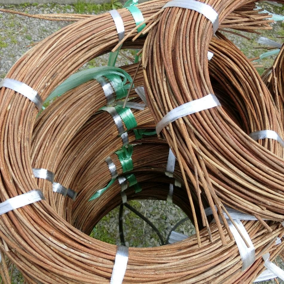 黄色いくまさん様専用 青森岩木山採取 あけび蔓 150cm～ 15kg 1 - メルカリ