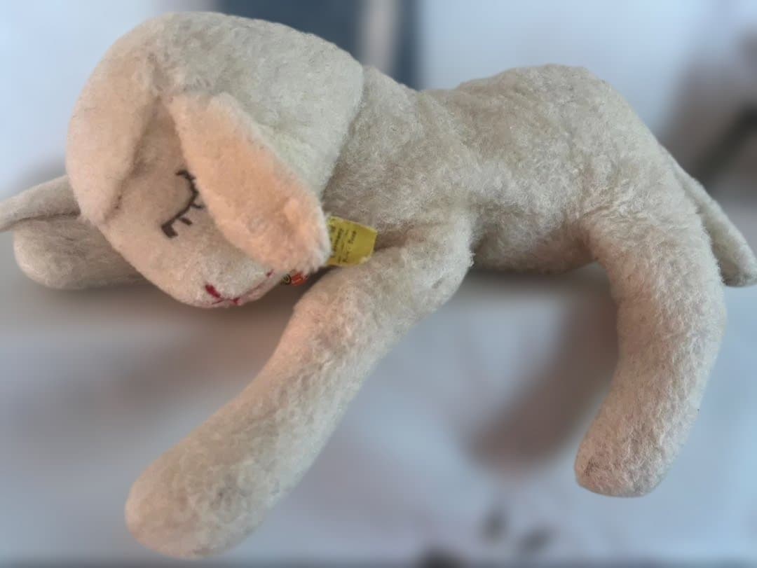 ドイツ　シュタイフ社眠りひつじFloppy Lanby