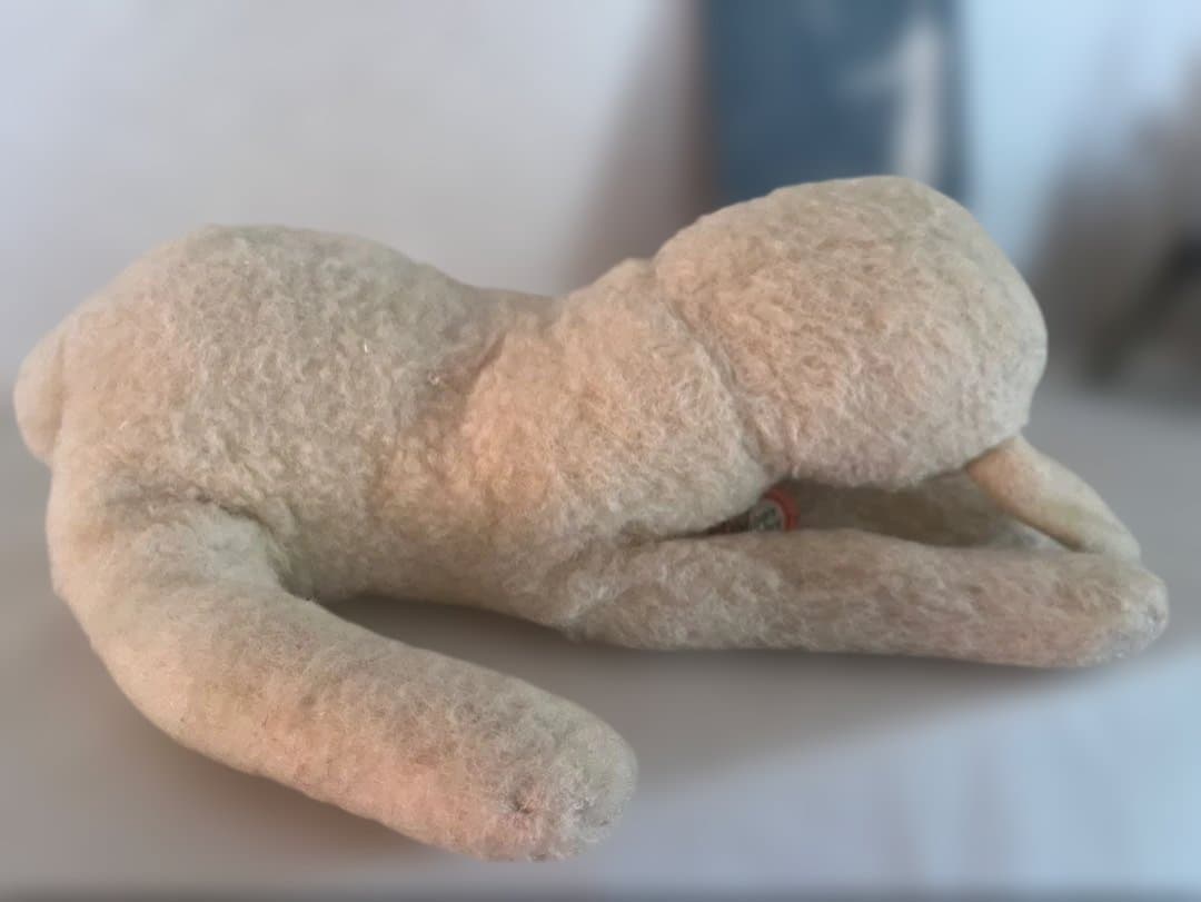 ドイツ　シュタイフ社眠りひつじFloppy Lanby