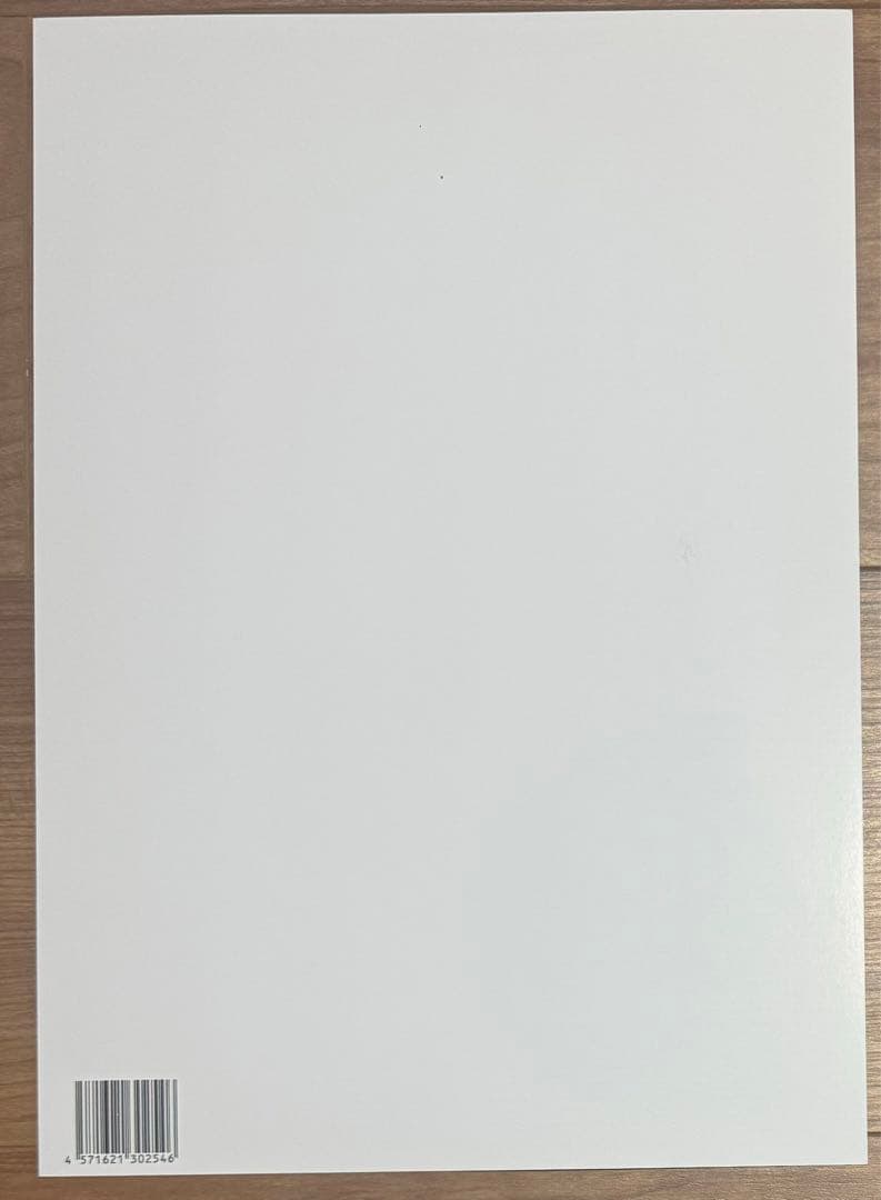 白川未奈 スターダム STARDOM 直筆サイン入りポートレート お渡し会