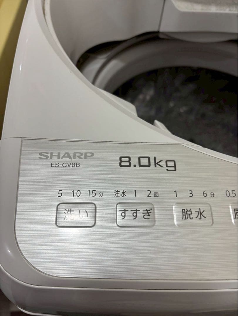 SHARP 8.0kg 洗濯機 ES-GV8B 本体