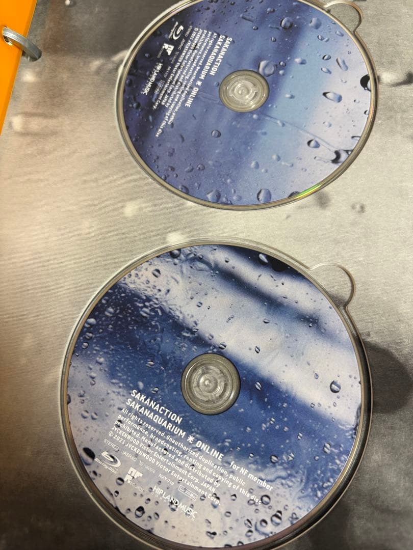 SAKANACTION 光オンライン NF盤(Blu-Ray)