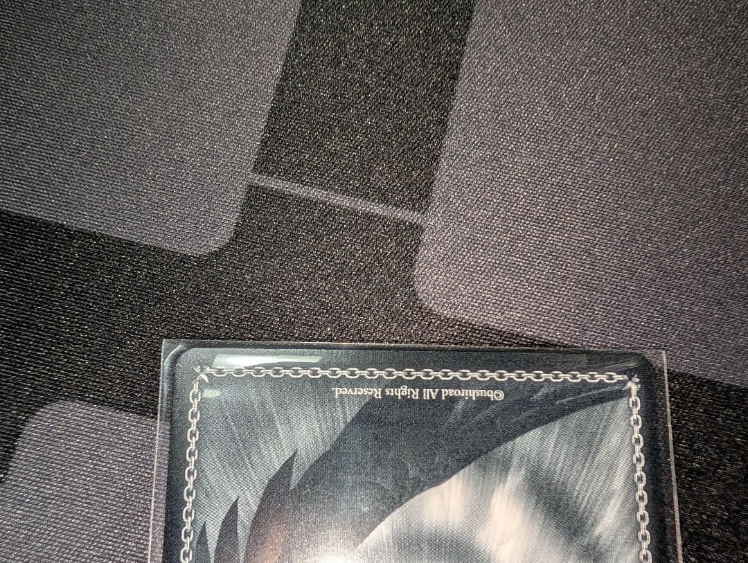 ヴァイスシュヴァルツ 対策委員会 ホシノ SP WS ブルーアーカイブ