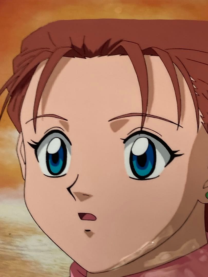 c８０　中判ハンターハンターセル画【ミト】動画.背景画付き