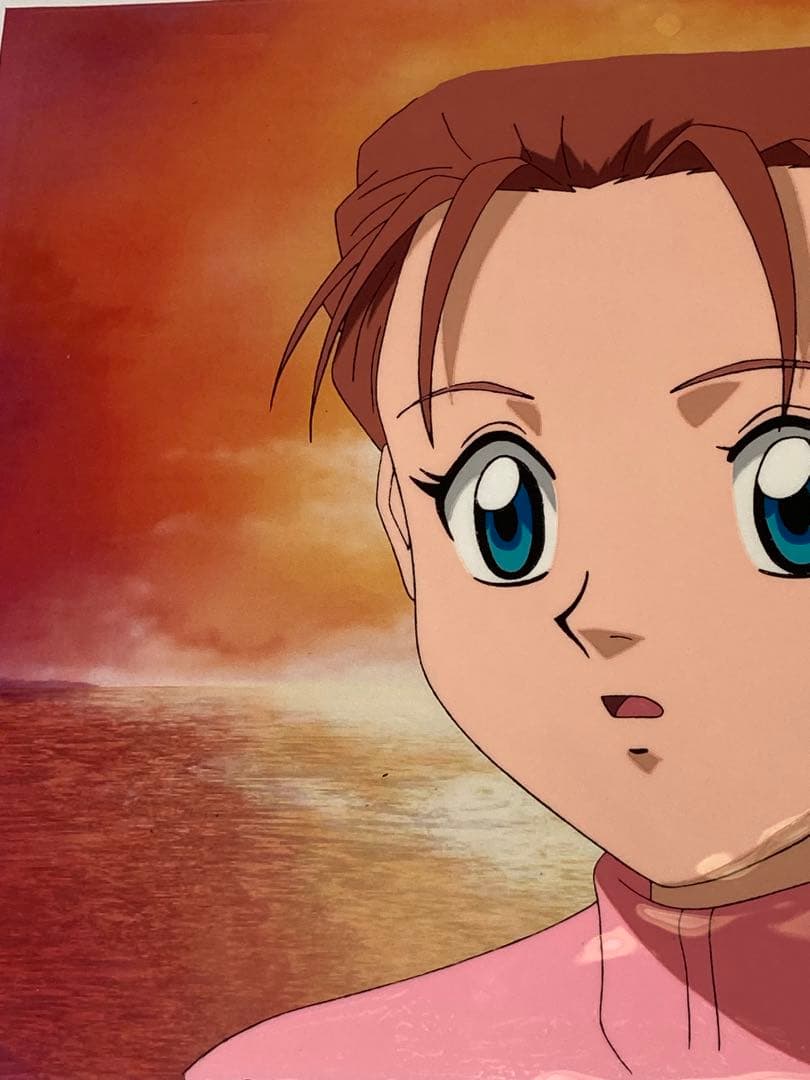 c８０　中判ハンターハンターセル画【ミト】動画.背景画付き