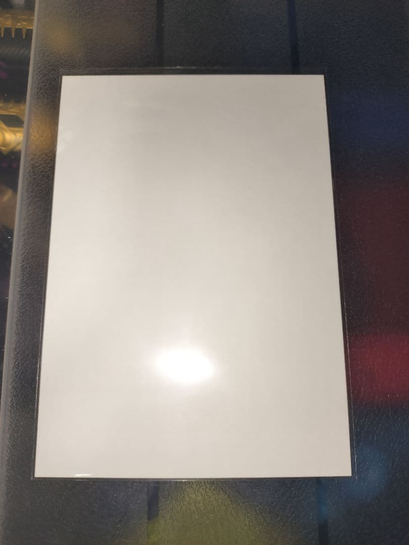 櫻坂46　遠藤理子　東京ドーム ライブ会場撮りおろしプレミアム生写真