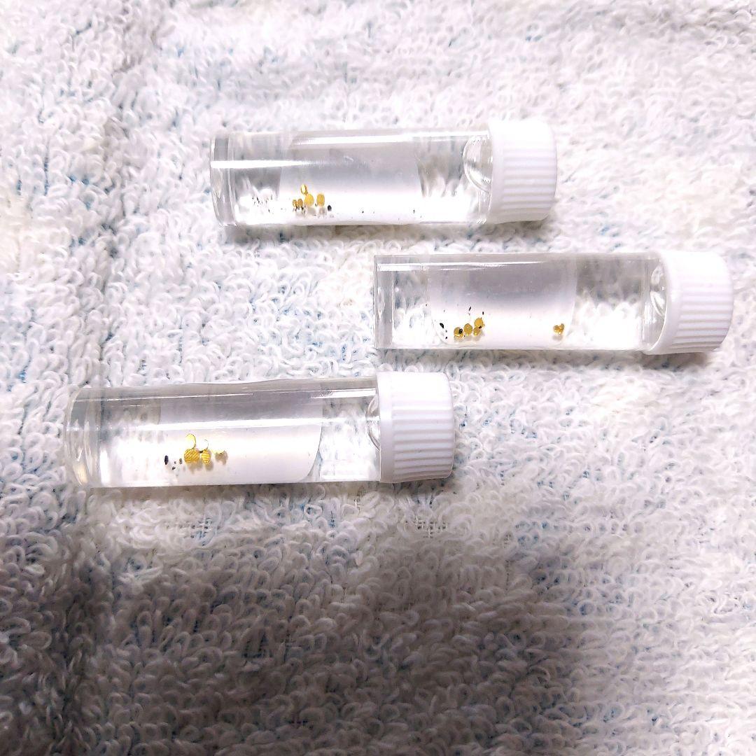 土肥金山 砂金採り体験お土産 砂金15粒 24金 - メルカリ