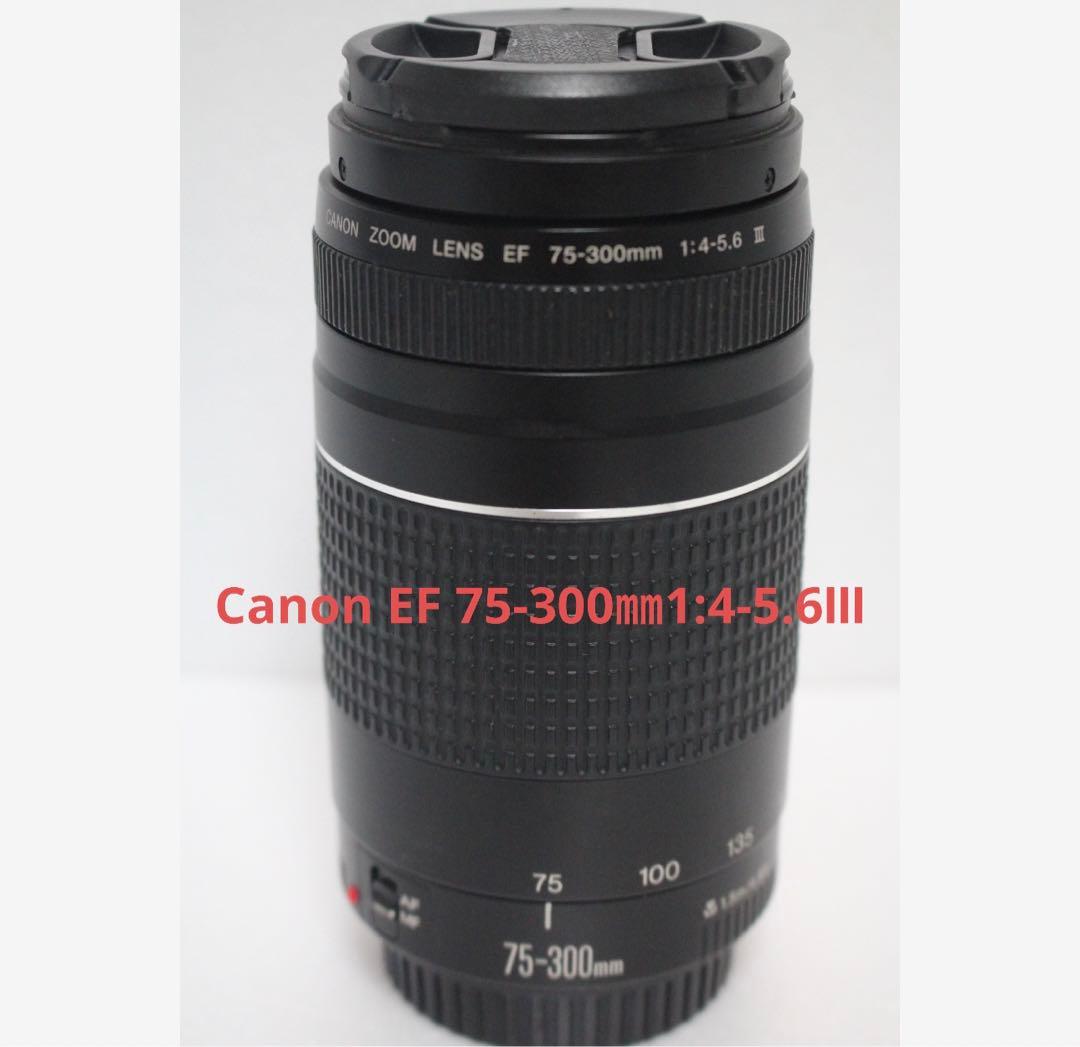 キャノン☆望遠レンズ☆美品☆Canon EF 75-300mm III Amazon.com : Canon EF 75-300mm f/4-5.6 III Telephoto Zoom Lens for