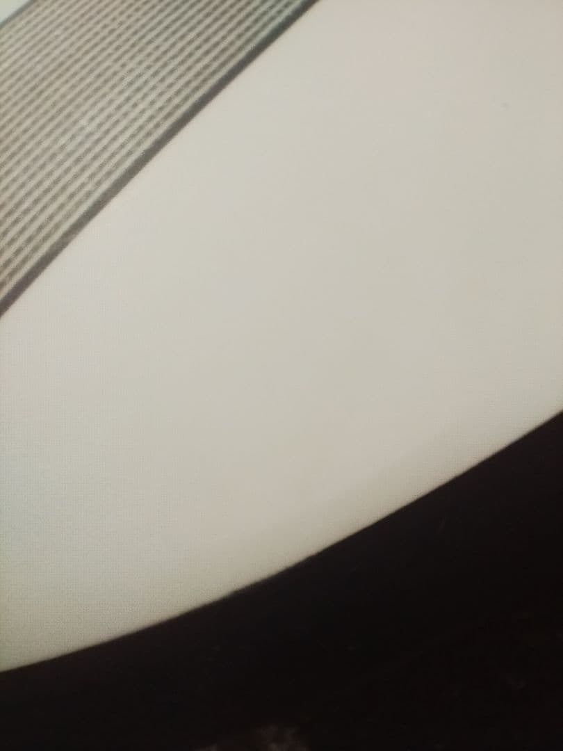 チャンネルアイランド　ミッドレングス　宮崎県内手渡し希望 Ken