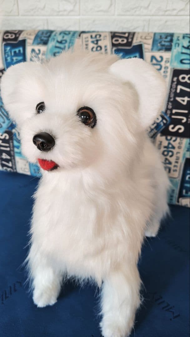 白い犬のぬいぐるみ