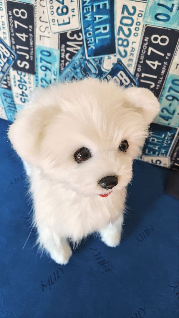 白い犬のぬいぐるみ