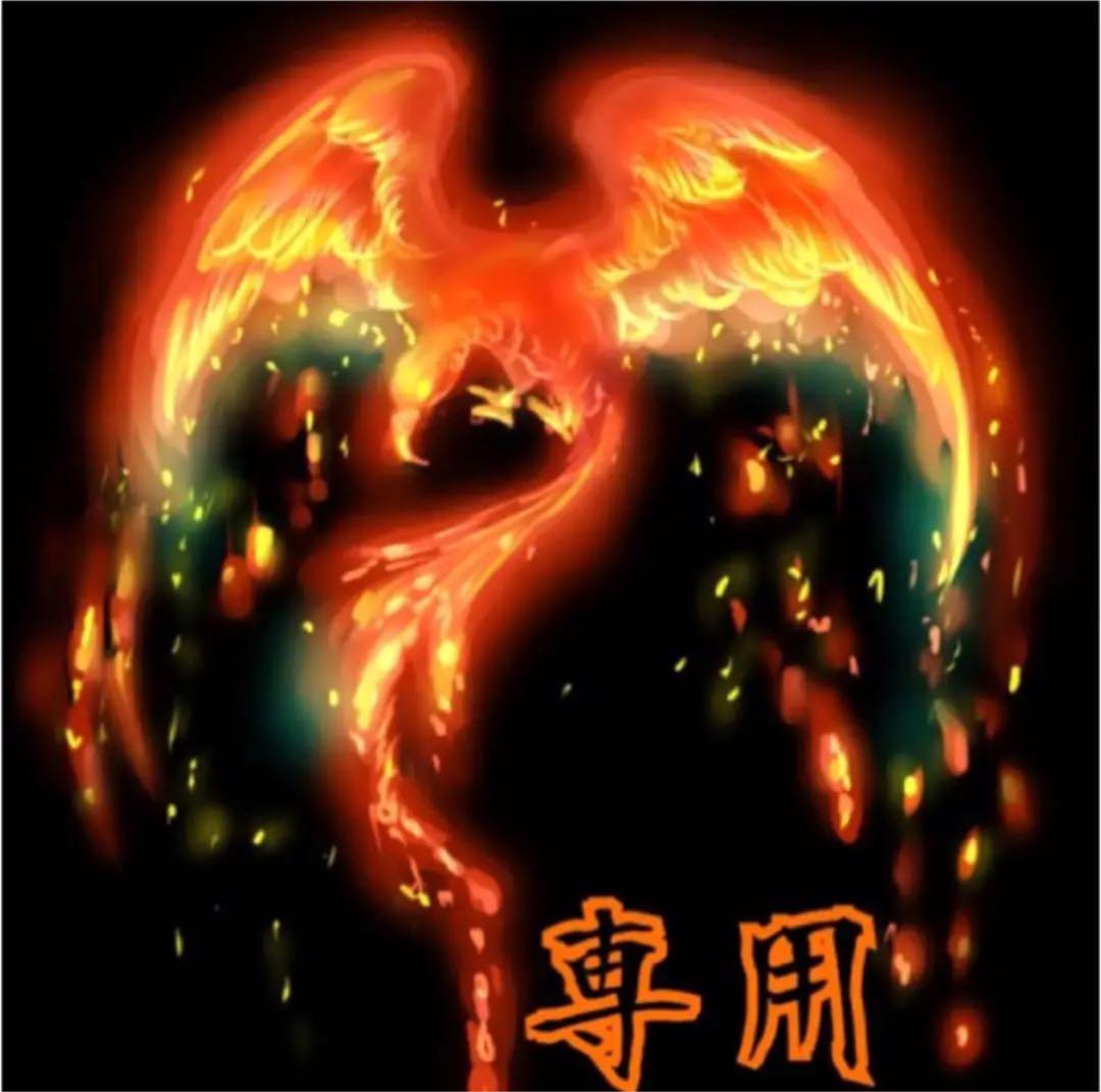 w62 四神獣 金彫 ハウライト 14mm パワーストーン ブレスレット 天然石 w62 四神獣 金彫 ハウライト 14mm パワーストーン ブレスレット 天然石