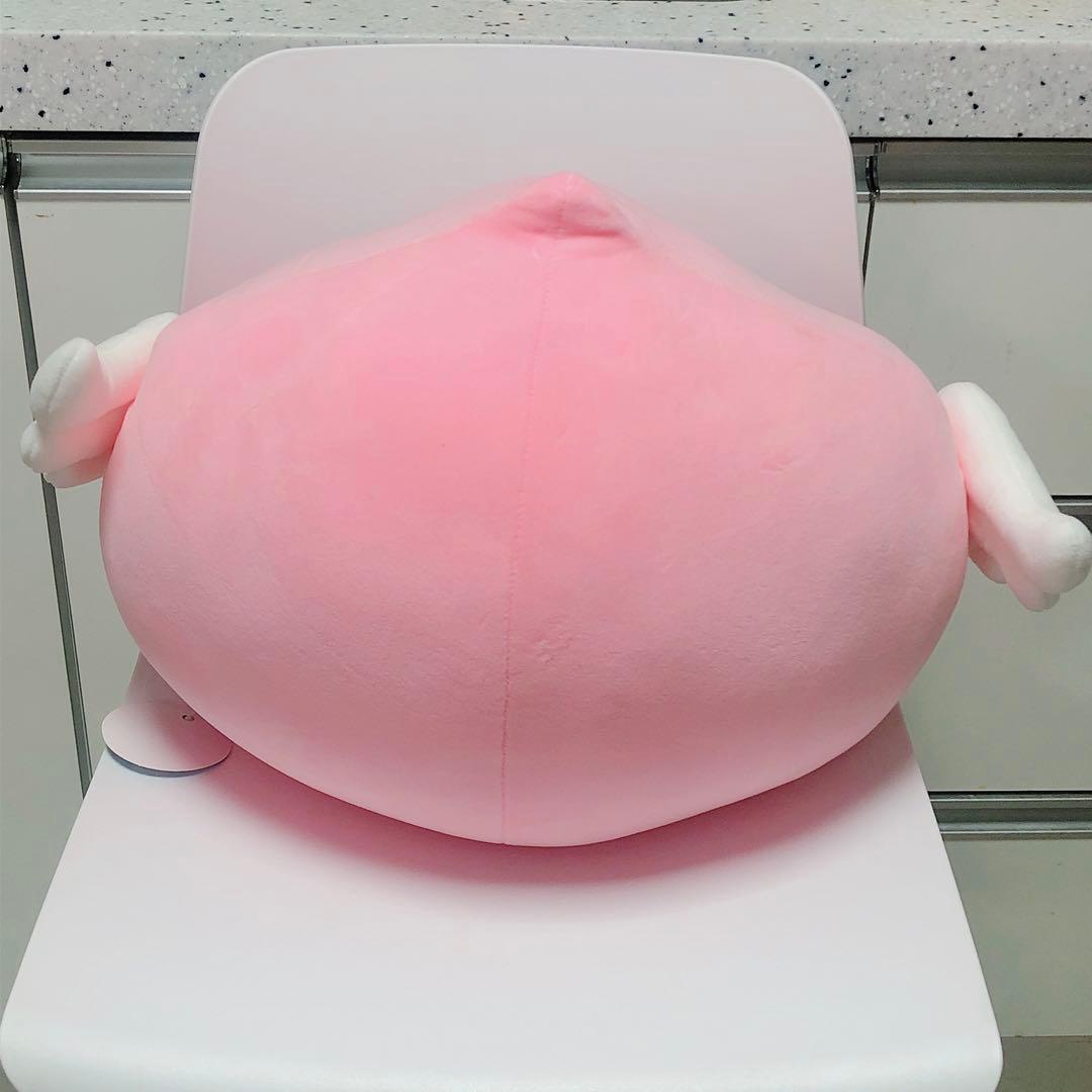 RO ラグナロクオンライン ポリン 大型クッション ぬいぐるみ - メルカリ