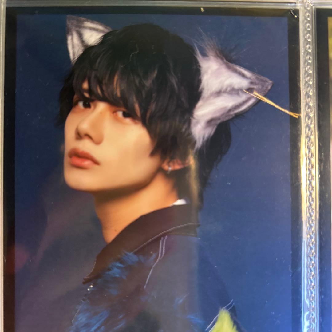 旧9bic 市川慶一郎 28枚まとめ売り - メルカリ