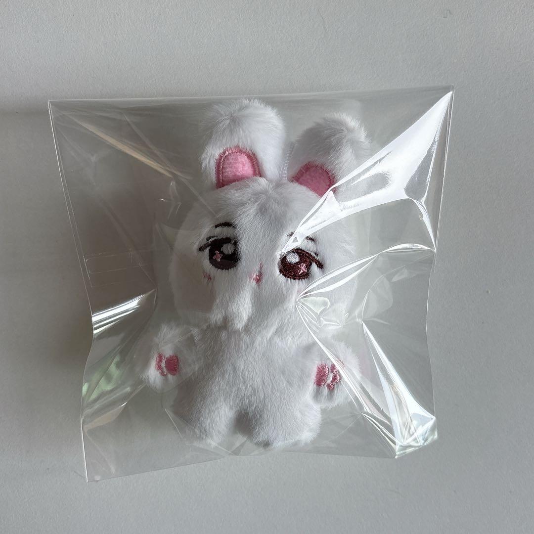 boys planet ALD1 サンウォン 10cm ぬいぐるみ - メルカリ