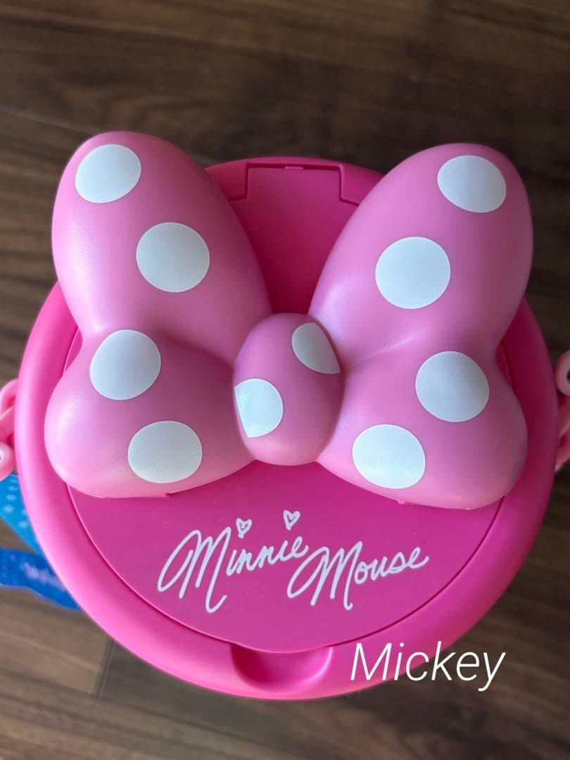 ディズニー パルパルーザ ミニーのファンダーランド ポッ