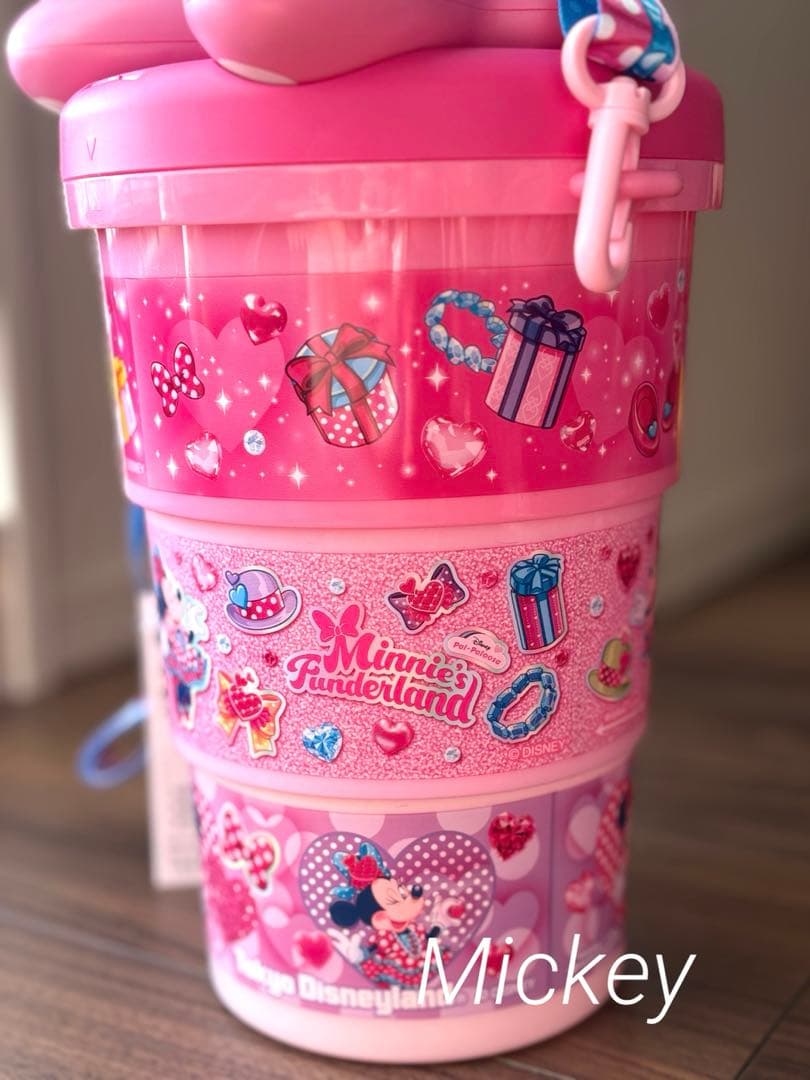 ディズニー パルパルーザ ミニーのファンダーランド ポッ