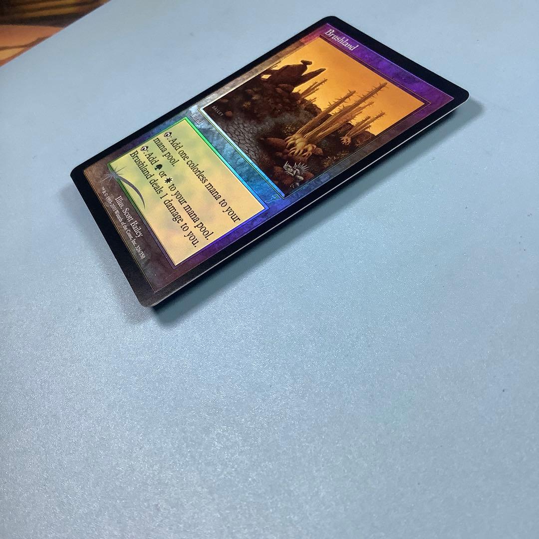 低木林地/Brushland  7ED英語foil