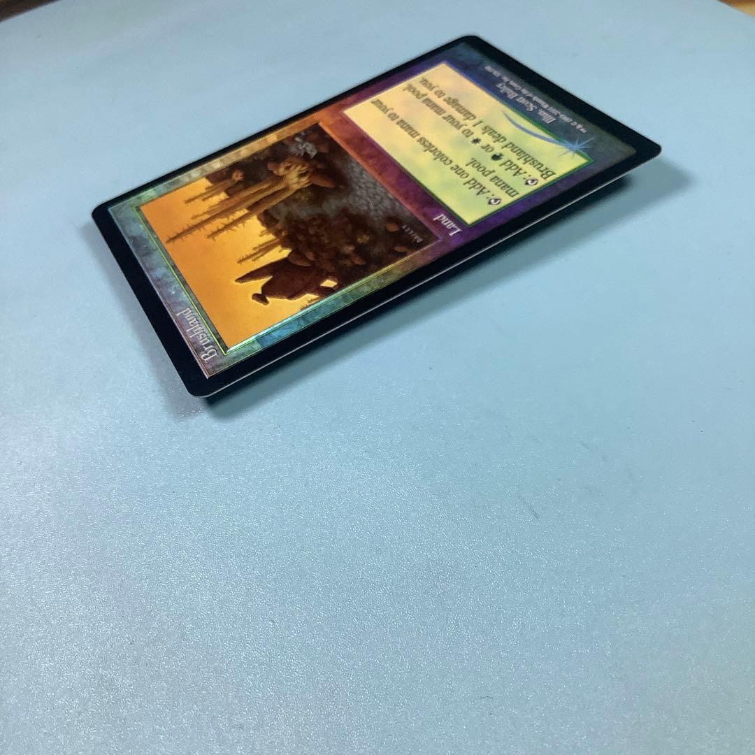 低木林地/Brushland  7ED英語foil