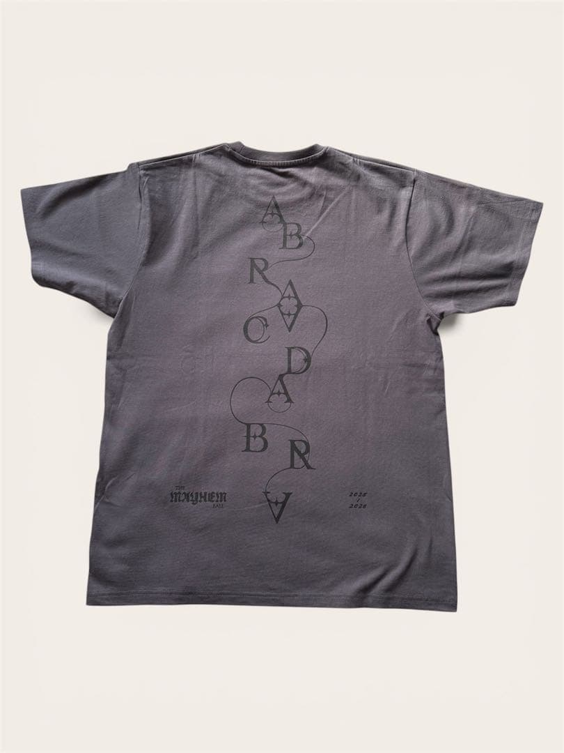 Lady Gaga Abracadabra Tシャツ グレー