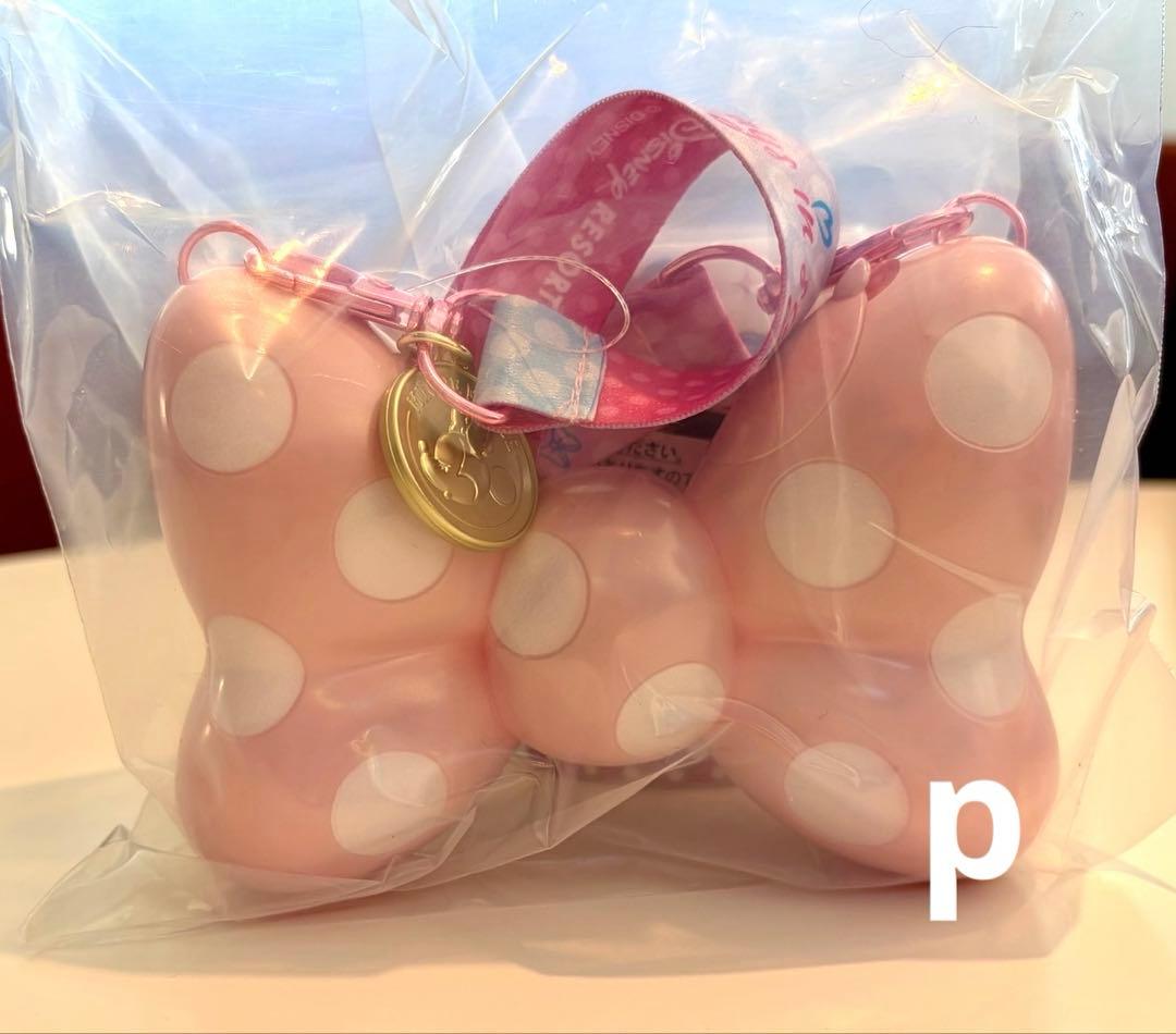 ディズニー　パルパルーザ　ミニー　ファンダーランド　スーベニアセット