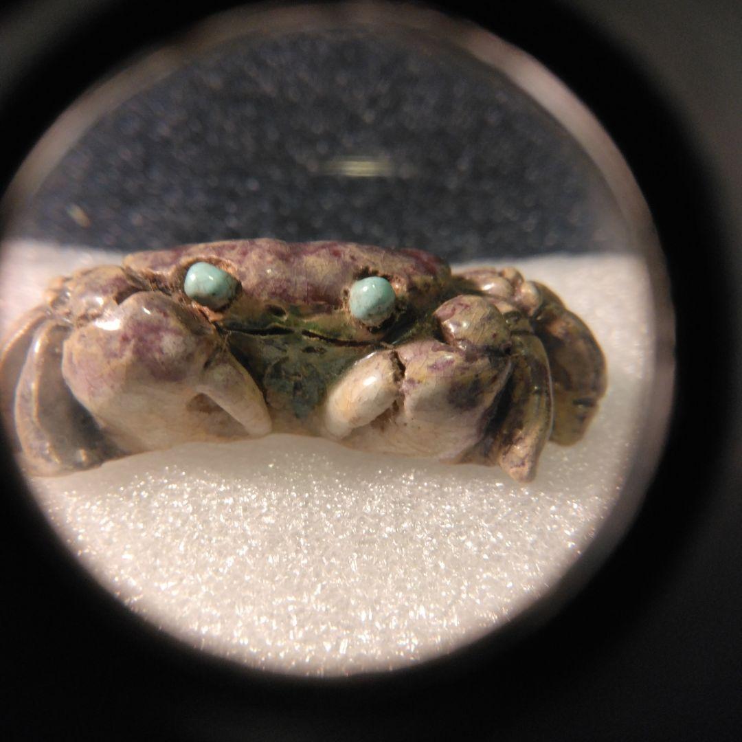 古いカニ　帯留め　二六　楽山　水月焼　着物　骨董