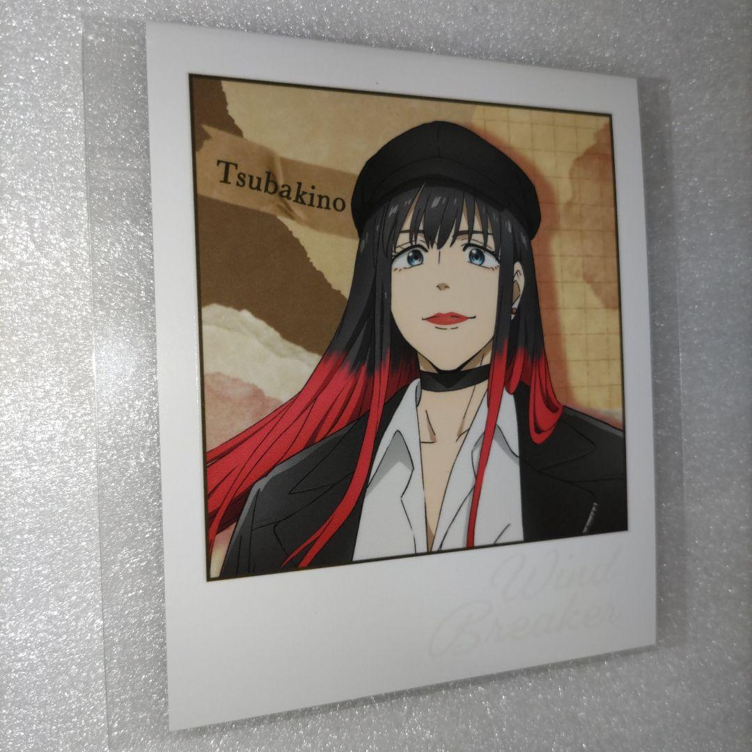 WINDBREAKER【椿野佑】Autumn Wind Fest缶バッジ カード - メルカリ