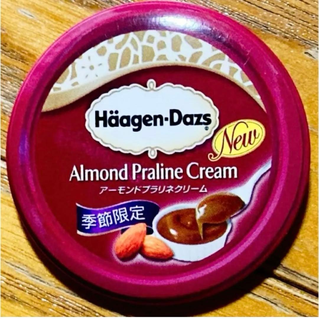 【新品❤️未使用】ハーゲンダッツオリジナル缶バッジ⭐️40種フルコンプリートセット