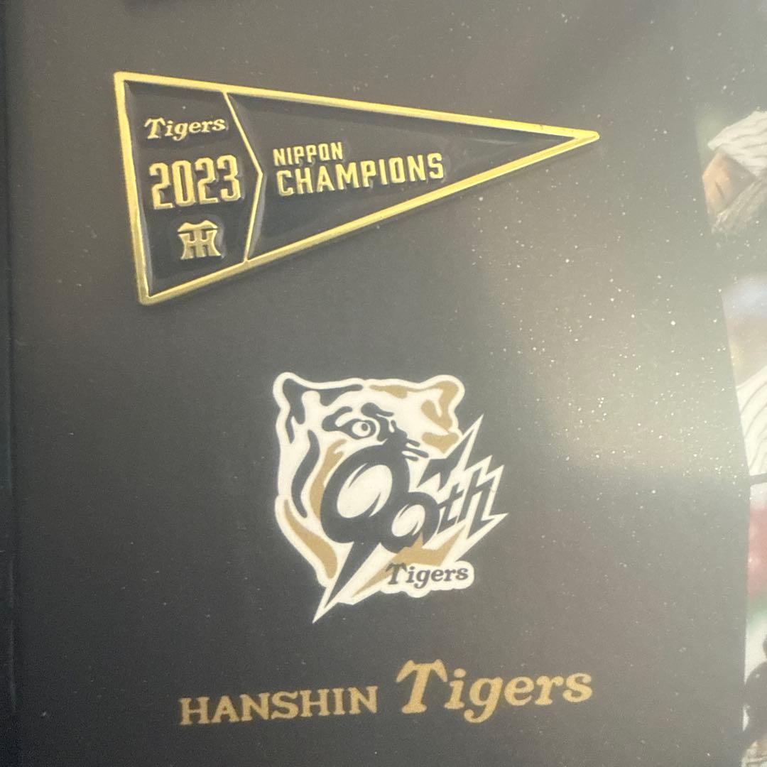 非売品】阪神タイガース90周年記念 歴代優勝ペナント型ピンバッジ