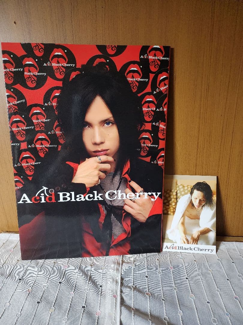 Janne Da Arc パンフレット 写真集 21冊 まとめ売り