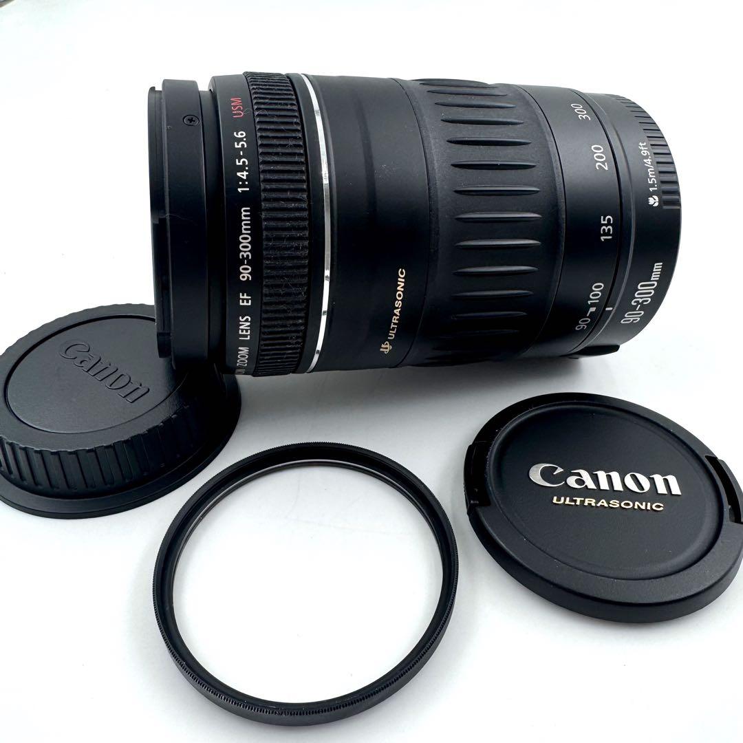 Canon EF 90-300mm F4.5-5.6 USM 超望遠ズームレンズ