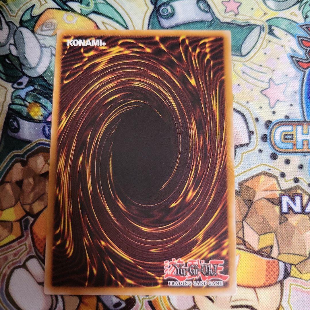 遊戯王　青眼の白龍　英語　レリーフ　op28