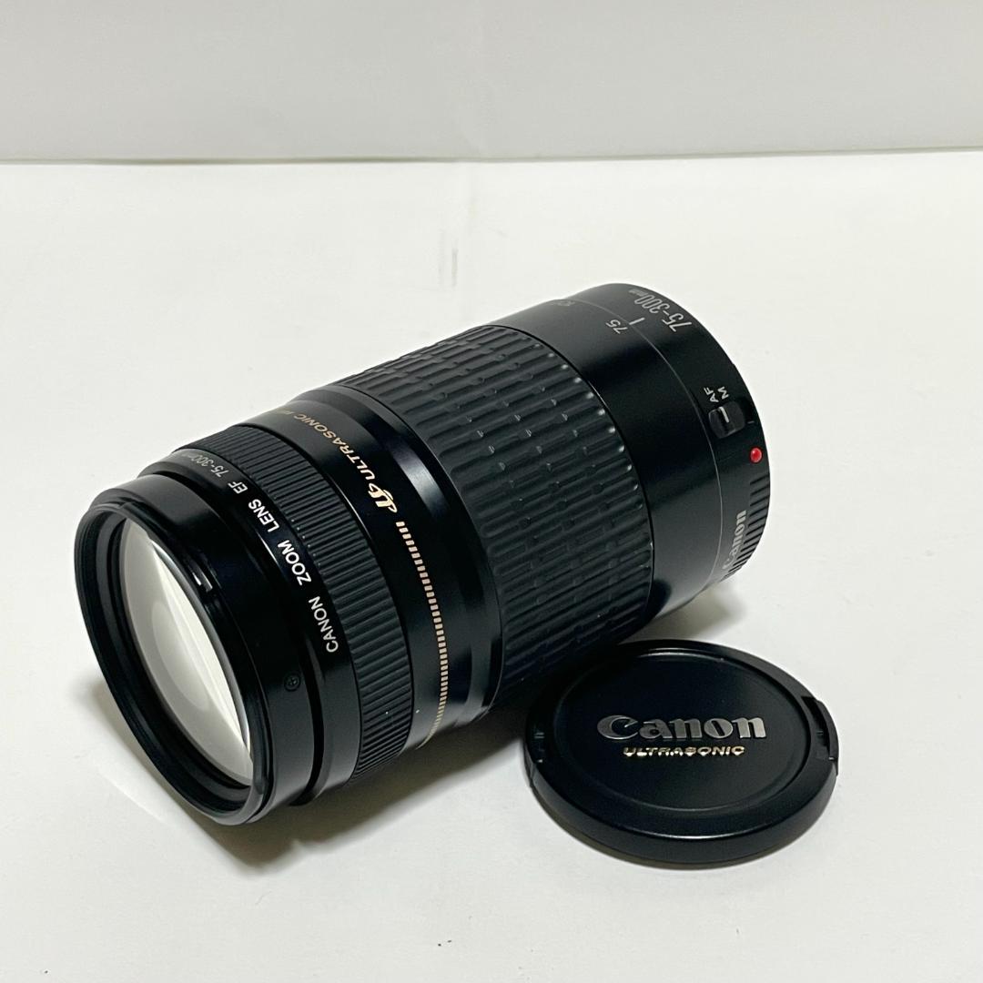 美品✨ Canon EF 75-300mm f/4-5.6 USM 望遠レンズ