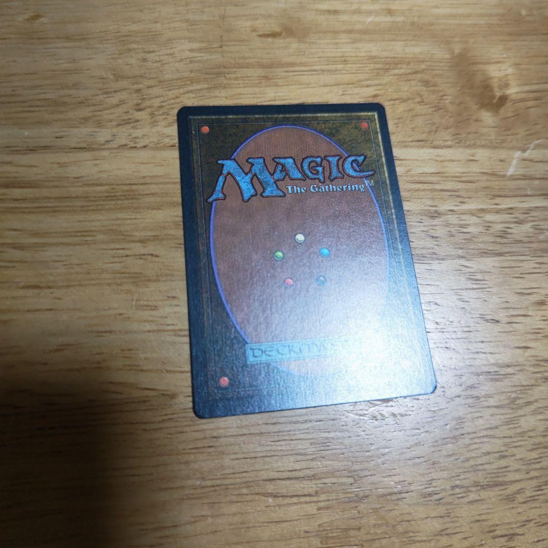 【断捨離】美品 scrubland イタリア語