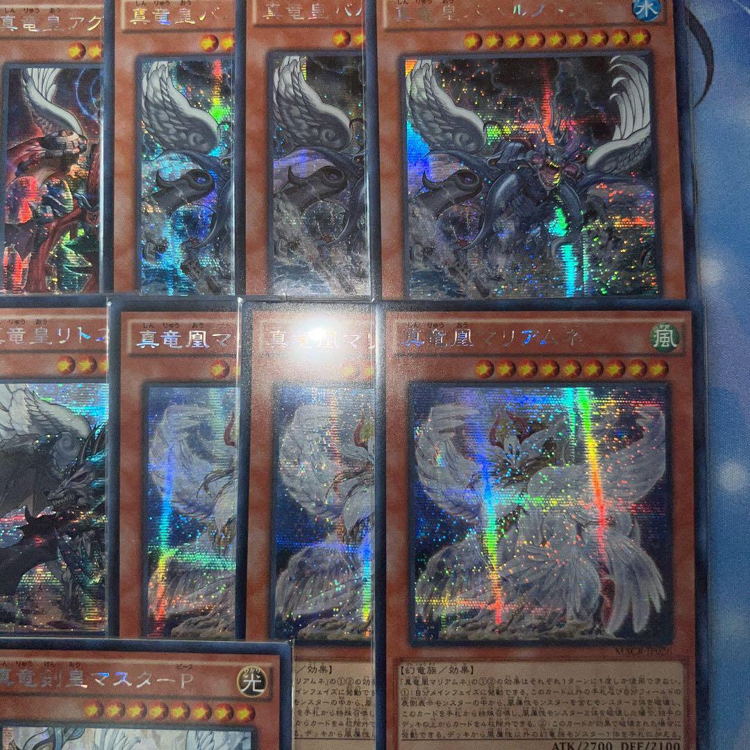 真竜 アジア シークレット セット