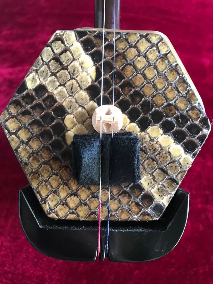 二胡☆中古品☆蛇本皮☆音など確認済み☆新品同然 - メルカリ