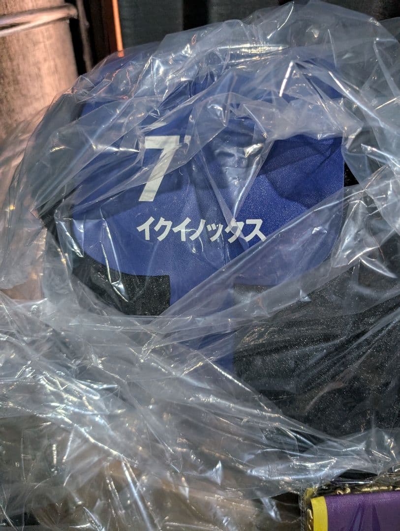 サラブレッドコレクション　メガビッグ　MEGA BIG イクイノックス　新品