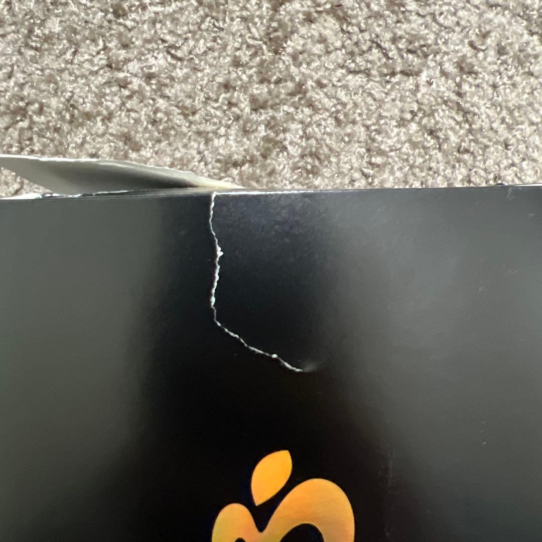 MGA Official Light Stick 緑色 ペンライト