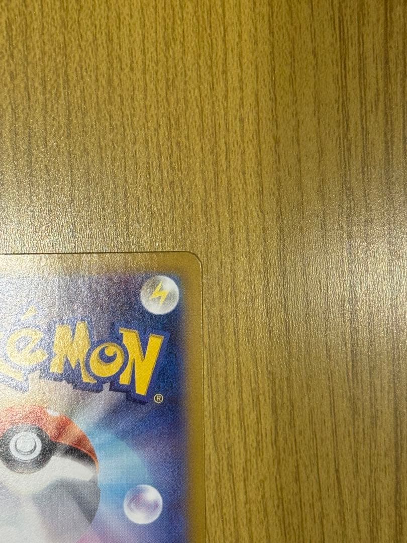 メガリザードンX ex SAR その他　おまけ