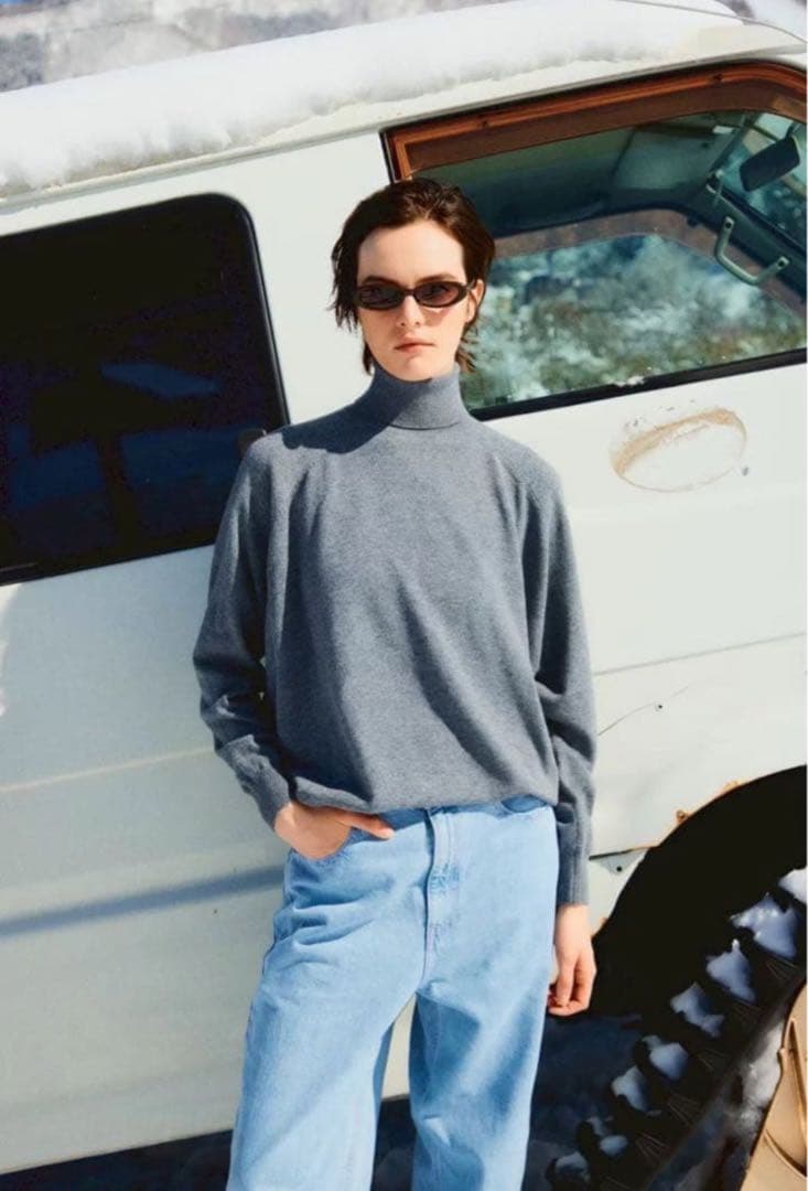 SHISHIKUI DAPUR / GRAY タートル - メルカリ