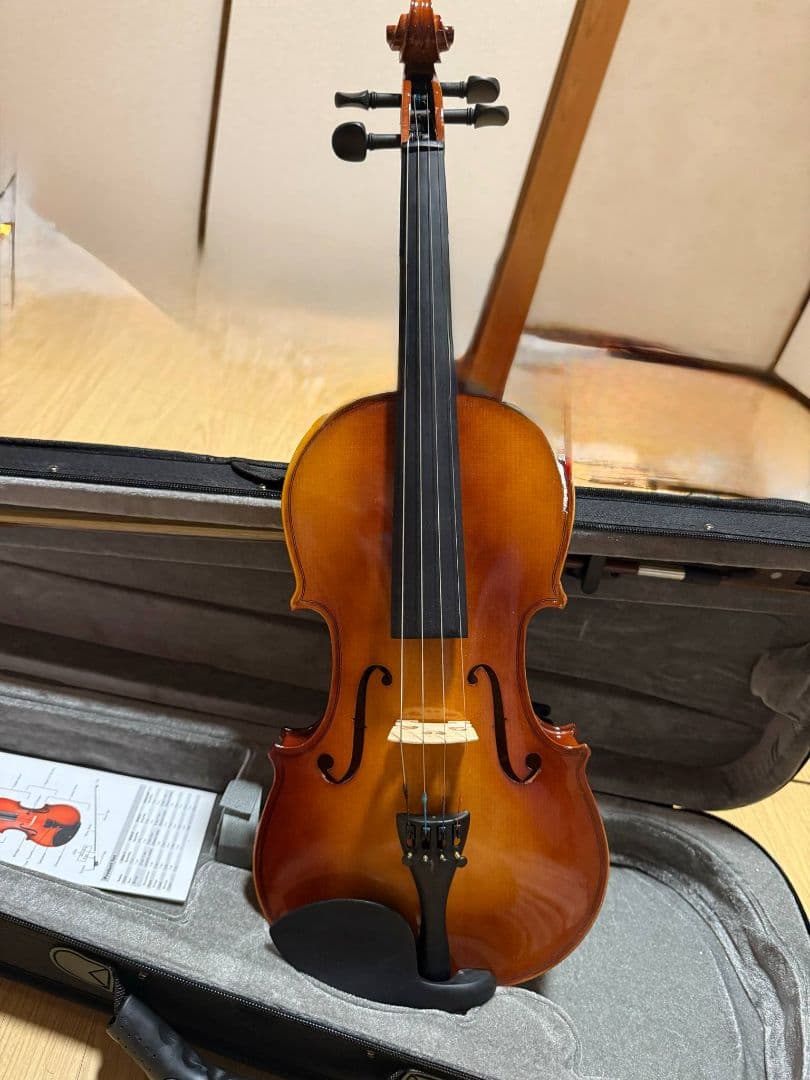 Eastar バイオリンセット EVA-3 4/4 Amazon.com: Eastar Violin 4/4 Full Size for Adults, Violin Set for