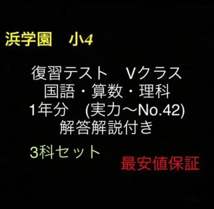 浜学園　小4　国語算数理科　Vクラス　復習テスト 実力〜No.42　解答解説付き 浜学園 小4 Vクラス 2024年度版 春期講習 国語・算数・理科 解答解説