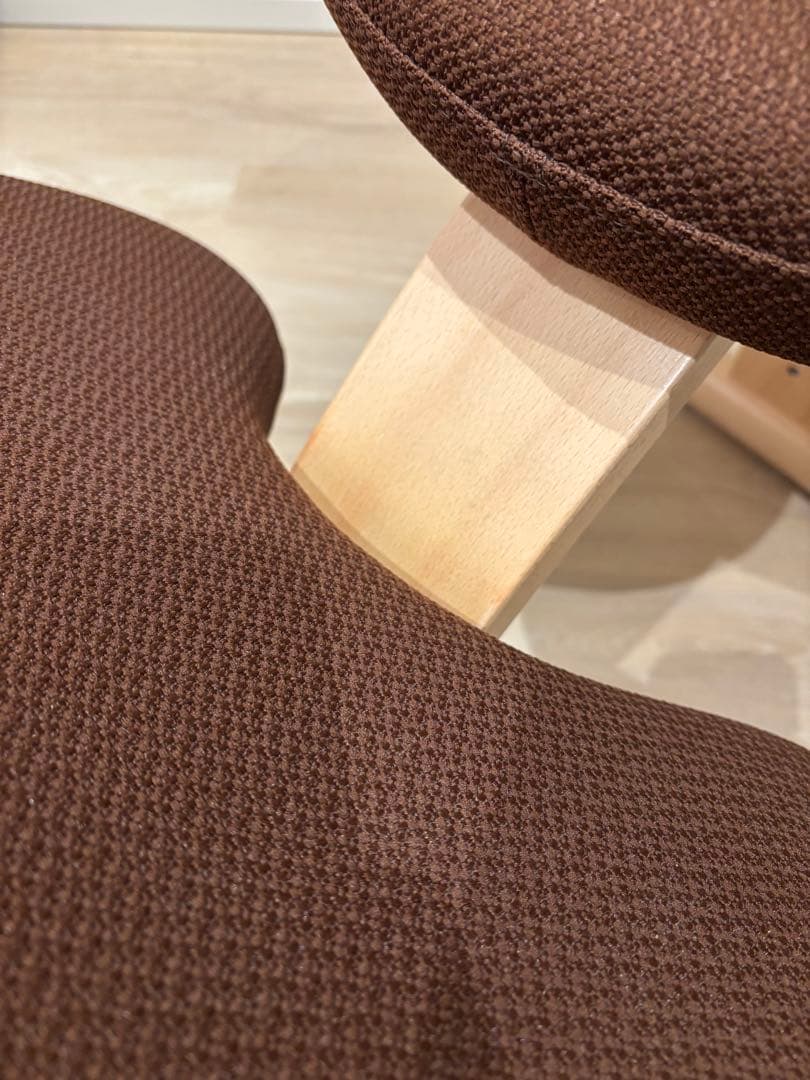 極美品・2024年12月購入】バランスイージー 通常フレーム - メルカリ