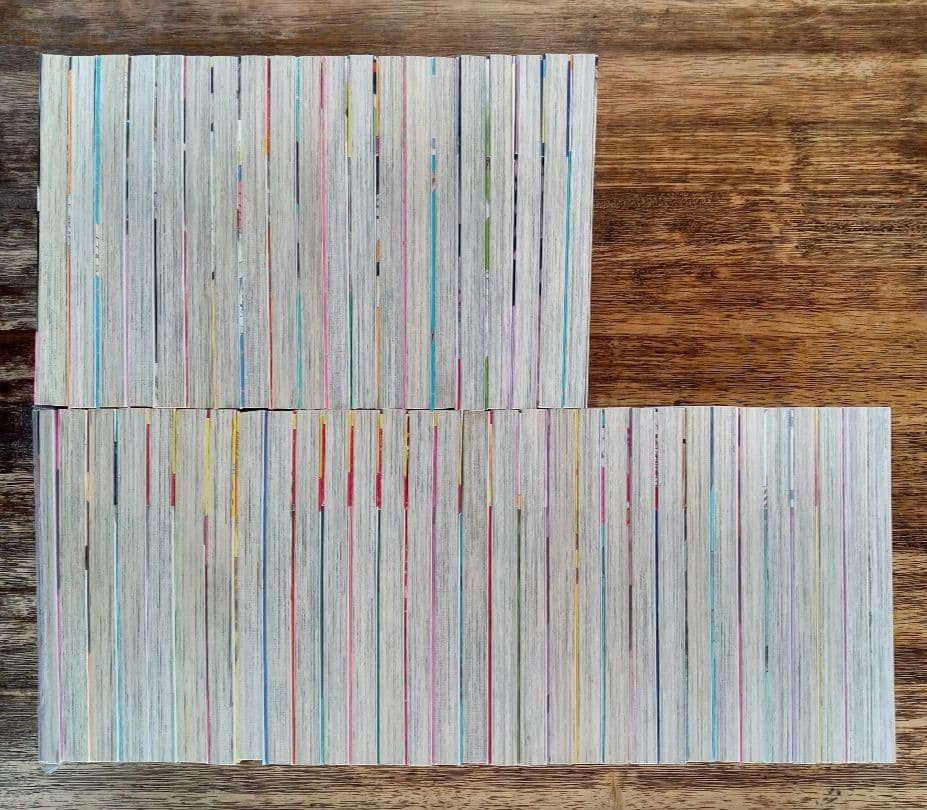 純情ロマンチカ 全30巻＋世界一初恋 全20巻 関連本1冊 計51冊セット