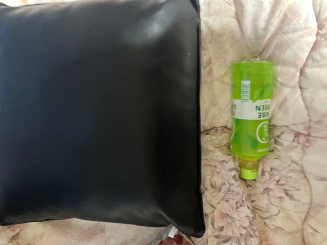 GOGO! CHANCE クッション